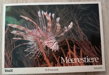 Postkartenbuch Meerestiere - 30 Postkarten