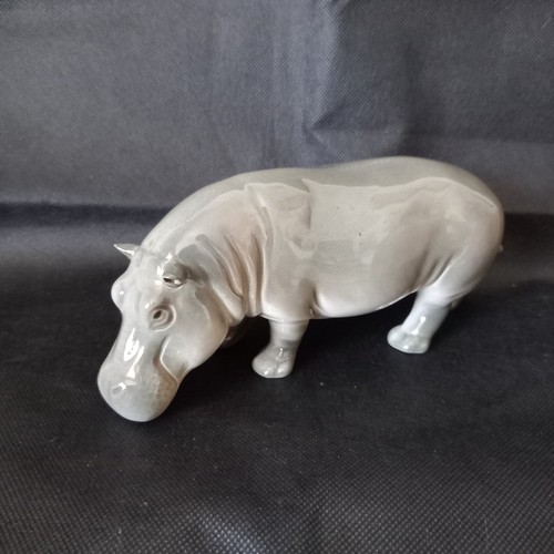 Flußpferd hippo goebel - hippo,