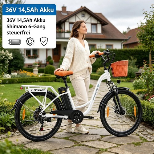 City elektrofahrrad 250w - 26"city,