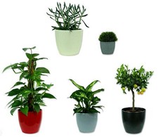 Blumen-Topf rund Keramik