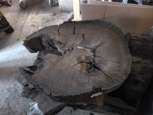 Mooreiche 4000 moorholz - mooreiche, j.