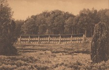 Ak, Ansichtskarte, Lüneburger