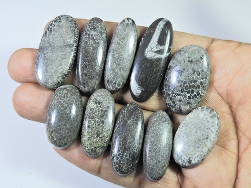 268cts natürliche schwarze - 268cts.,
