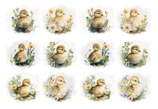 Wasserschiebefolie-Decalfolie-