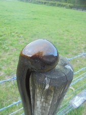Irish blackthorn shillelagh - blackthorn,