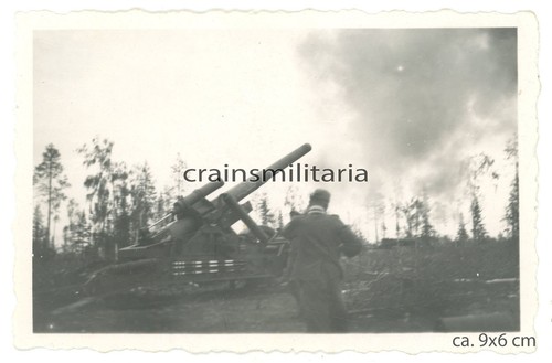 Orig foto russ beute - foto,