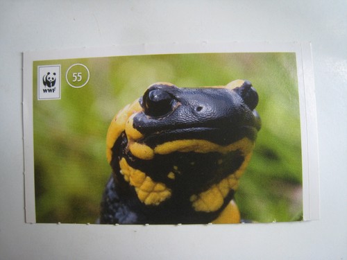 Sammelsticker unser wald - "unser, wald"