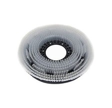 WB Columbus Schrubbürste