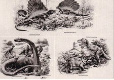 Postkarte Fossilien: Saurier