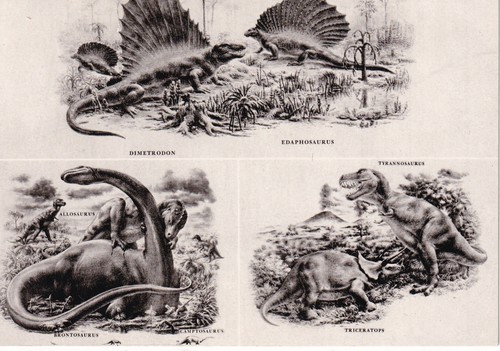 Postkarte fossilien saurier - postkarte,