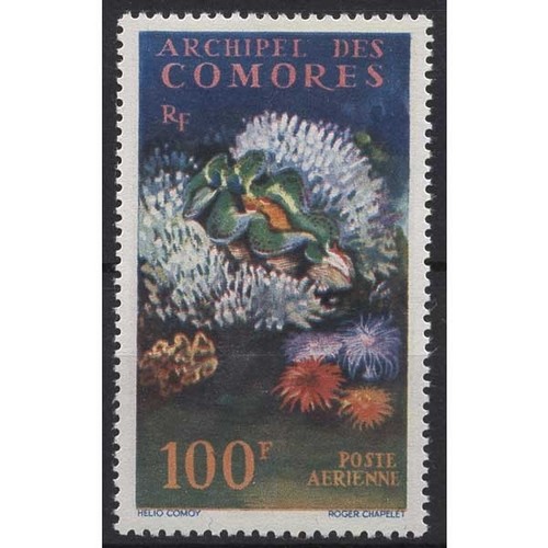 Komoren 1962 riesenmuschel - riesenmuschel, 50