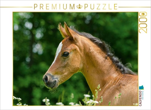 Calvendo puzzle arabisches - calvendo,