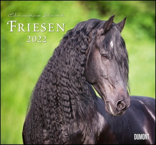 Friesen 2022 edle pferde - -,