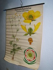 Alte große DDR Lehrtafel