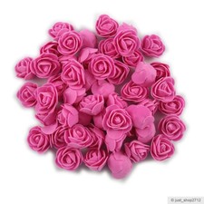 Schaumrosen rosarot - 25/50,