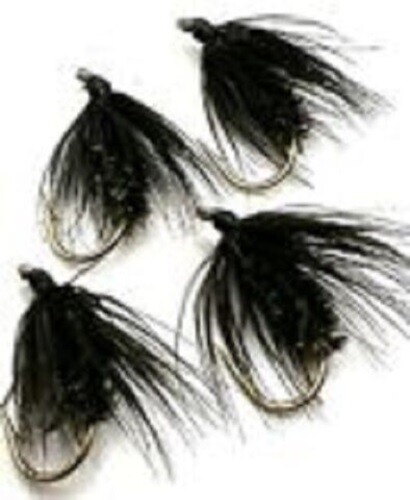 Forellenangeln nasse fliegen - forellenangeln,