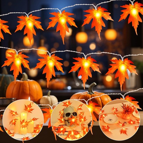 Herbst lichterkette - herbst,