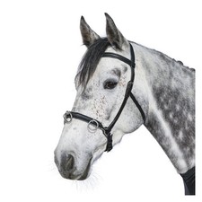 NEU Loesdau Kappzaum Fortaleza