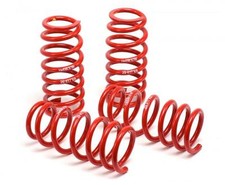 H&R (50484-88) Race Spring For