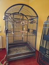 vogelvoliere groß gebraucht