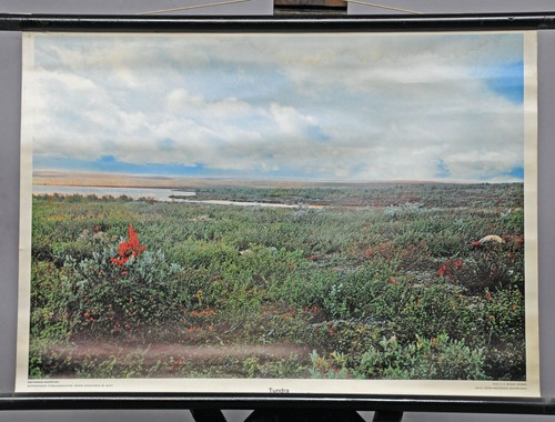 Rollbild foto poster wandkarte - foto,