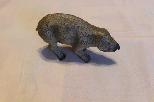 Lisowicia sammlung - lisowicia,