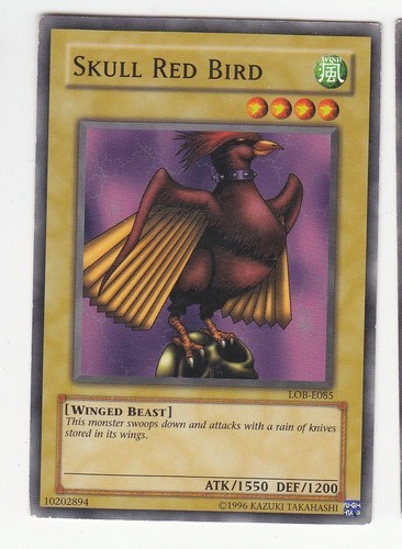 Skull red bird - red, common