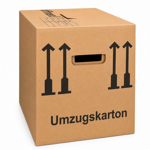 Umzugskarton 400 x 320 - 10, st.