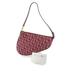 Christian Dior Trotter Saddle