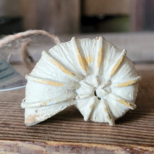 Möbelknopf vintage muschel - vintage,