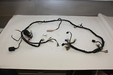 1465 Pegasus Sky 125 BH   TGB  Kabelbaum