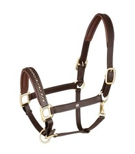 Waldhausen Braun/Gold VB