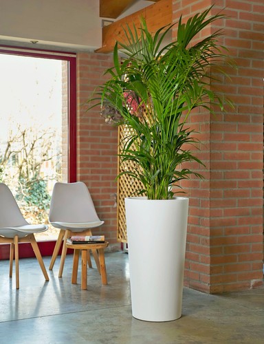 Xxl blumentopf mit - mit, einsatz