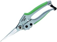 Freund Victoria Garten