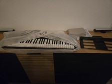 Casio Casiotone CTS100