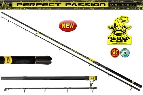 Black cat perfect passion - black,