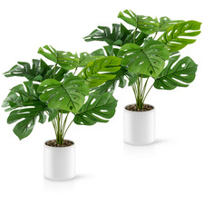 PASCH® Kunstpflanzen wie echt