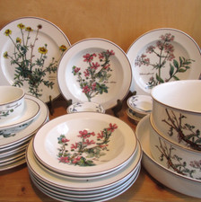 Villeroy & Boch Botanica Suppenteller Speiseteller Schüssel Sauciere auswählen