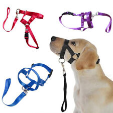 Collier Halter Dog Training