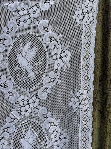 Laura ashley taube - laura, kamee