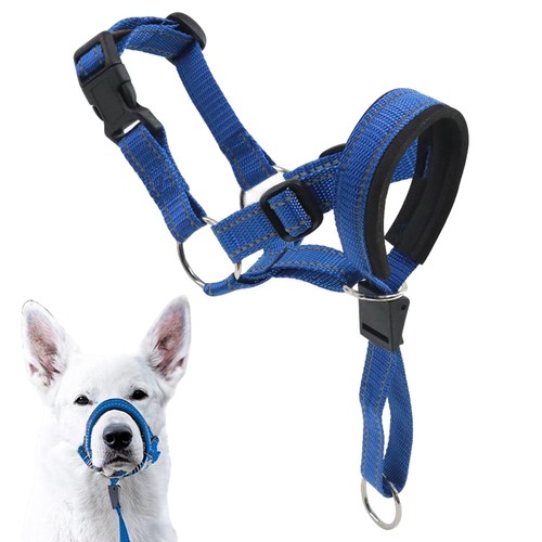 Hunde kopfgeschirr verstellbar - hunde,