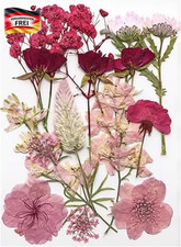 Getrocknete Blumen