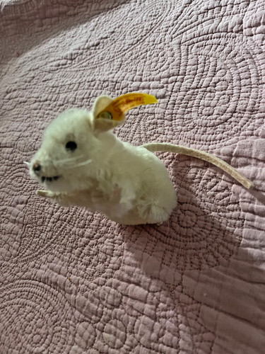 Steiff maus pieps weiß - steiff, mit