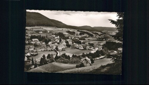 Mitteltal - ,