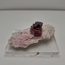 Roter Turmalin Rubellit Kleinstufe  Malkhan Sibirien Russland