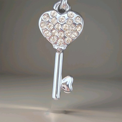 Charms schlüssel anhänger - charms,
