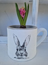 Pflanztasse Ostern Hase Weiß