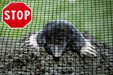 Maulwurfnetz Maulwurfsperre