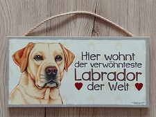 Labrador Türschild  24,5 x 12 cm