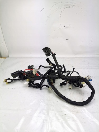 Yamaha xj6 600 n - f, 09-15